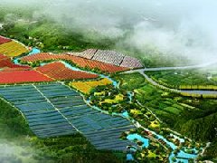 鄭州市工信局：積極構(gòu)建管城區(qū)、經(jīng)開區(qū)、中牟縣“兩區(qū)一縣”氫燃料電池汽車