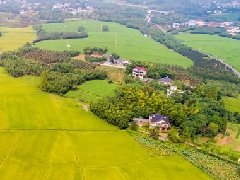智慧園區(qū)規(guī)劃 | 產(chǎn)業(yè)園區(qū)該如何應(yīng)對突發(fā)公共事件？